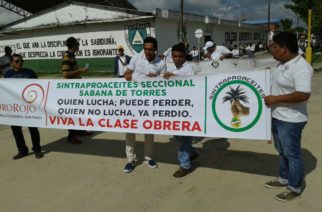 Oro Rojo, Indupalma y Grasco  Sacándole el aceite a los trabajadores