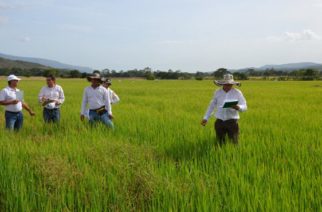 No al apoyo a los ricos del campo