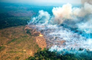 Incendios en la Amazonía: la selva arde y se nos hace tarde