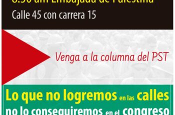 DECLARACIÓN #1M No conseguiremos en el congreso lo que no logremos en las calles